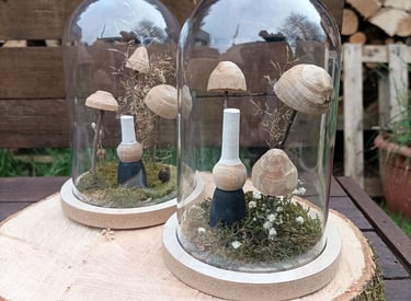Champignons et bigoudène sous cloche