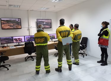 Diseño e implementación de formación estandarizada en Factores Humanos en Incendios Forestales