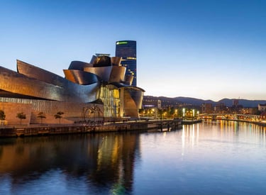 Musé guggenheim Bilbao pays basque excursion privée VTC taxi