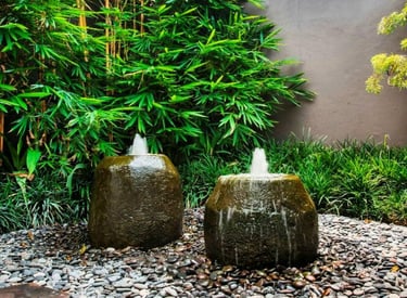 water fountain services by mygreenearth