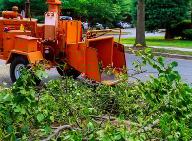 tocare crengi curatenie curti