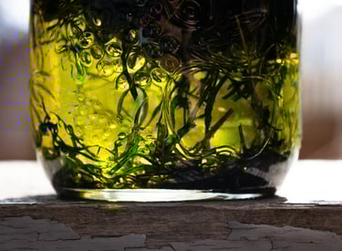 a jar with herbs sitting in oil