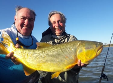 Pesca de dorado
