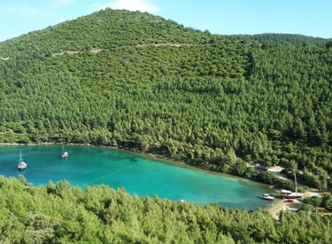 Golkoy Chauffeur Driven Service