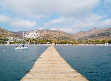 Ortakent Chauffeur Driven Service