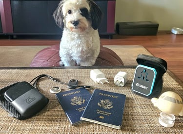 Travel tech items on table with passports and toy airplane, travel dog inspecting gear