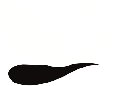 logo featuring a feather and the words, "Derby City Pigeon Rescue."
