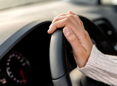 Selangor Driver Service