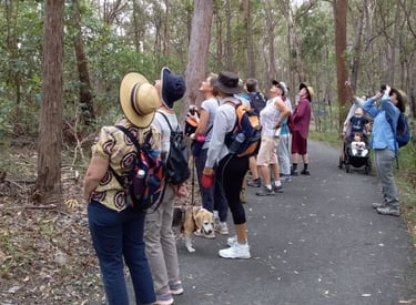 walking group on walking track at whites hill reserve