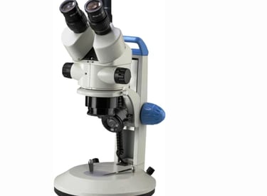 #stereo zoom microscope