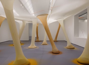 Instalação Ernesto Neto