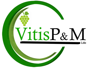 a green and white picture of a green plant