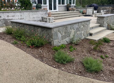 california native garden with drought-tolerant plants, converted from lawn as part of a water company conservation program.