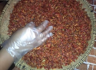 à quoi sert le piment,  à quoi sert le piment d espelette, à quoi sert le piment de guinée, à quoi r