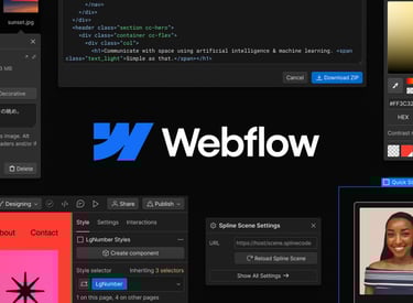 Webflow interface
