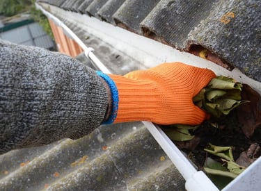 De beste maand om de dakgoot te reinigen valt in het einde van de herfstperiode (eind november) 