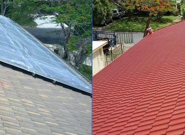 ROOF PAINTING SERVICES