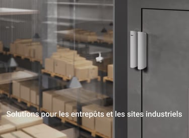 alarme pour entreprises
