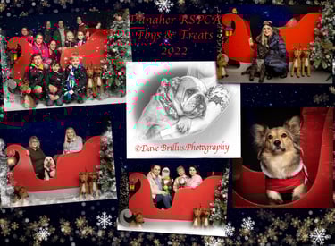 Toys & Treats Danaher RSPCA