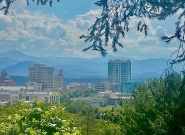 Downtown Asheville in the distance with trees and bushes, representing commercial locksmith services