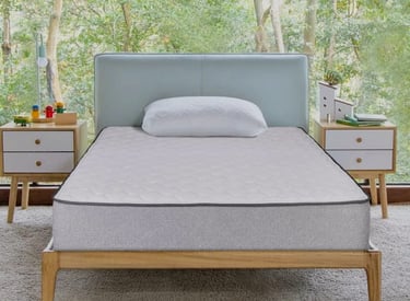 Dual Pro Profiled Mattress.