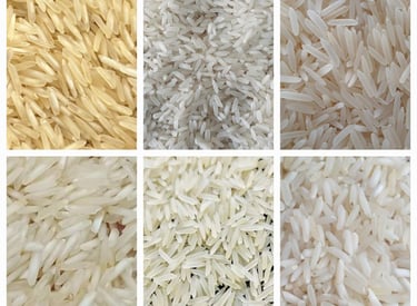 Biggest Broken Rice Exporters in Pakistan
