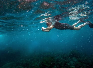 Underwater marine life experience while snorkeling in the Galapagos