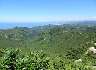 Hills around Bulancak