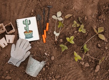 Carnet de notes posé à côté d’un cactus dans la terre, agriculture durable et nature en Afrique