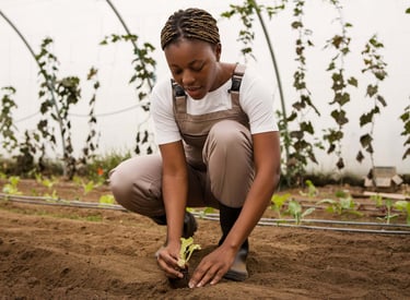 Femme plantant un jeune plant dans une serre, agriculture durable et engrais naturels en Afrique