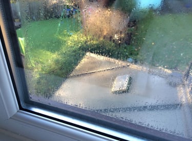 misted sealed unit in window