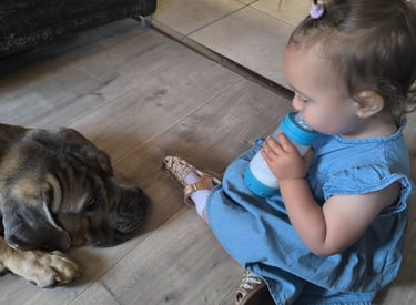 conseils canins instinct de meute