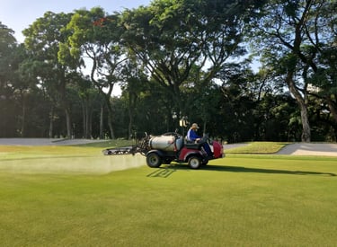 plano de manejo florestal