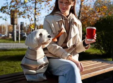 Dog sitting et services pour enfants