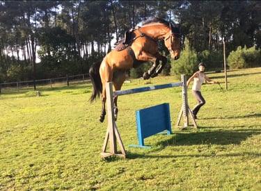 saut en liberté