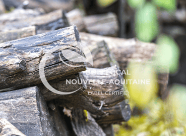 une pile de bûches posée sur le sol
