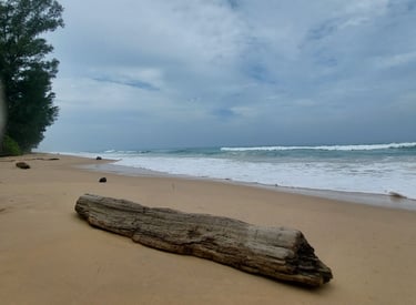 Thai Mueang Beach Phang Nga