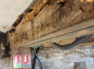 atelier arbeo cherbourg manche cotentin expertise solidité plancher bois poutre en bois vétusté bois