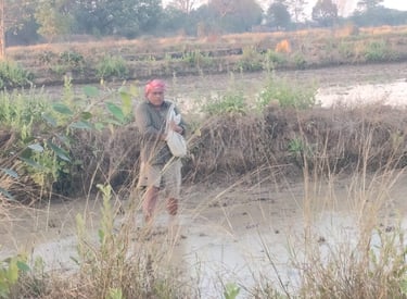 Image of Ganga Ram