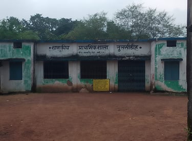 school tulsidih