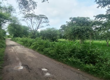 street