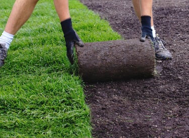 A person installing turf on a lawn.