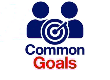 Interorganizational Collaborations Cross Countries