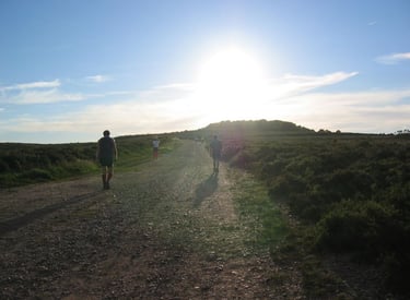Runners heading into the sunset