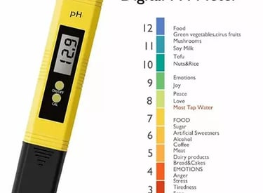 Digital pH meter