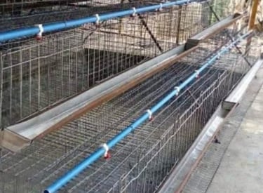 Battery cage