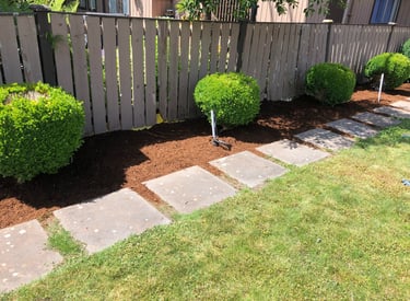 Round box woods with mulch