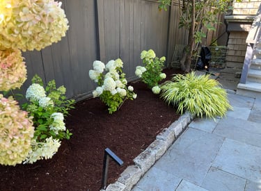 Mulched Garden Bed