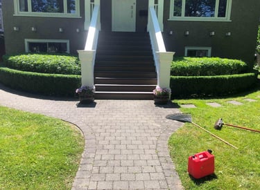 BoxWood Hedges