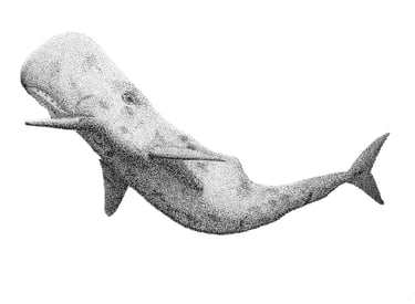 Sperm whale in black and grey ink